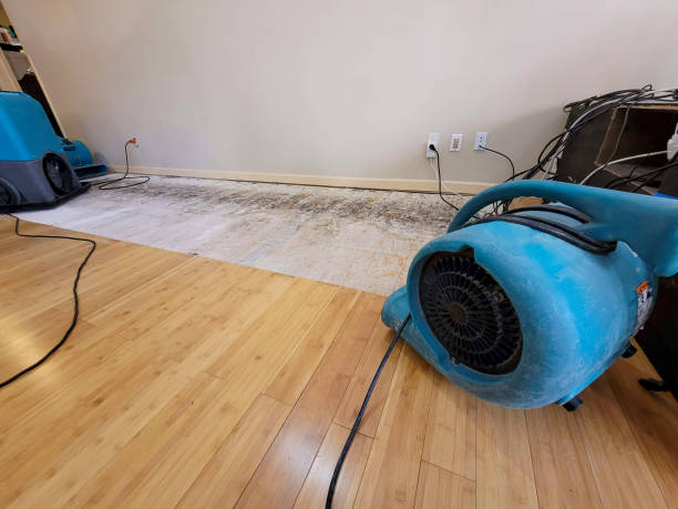 Professional Flood Damage Cleanup technician working in Fairwater, WI